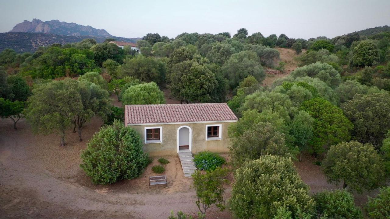 Li Paduleddi Country Guest House Όλμπια Εξωτερικό φωτογραφία
