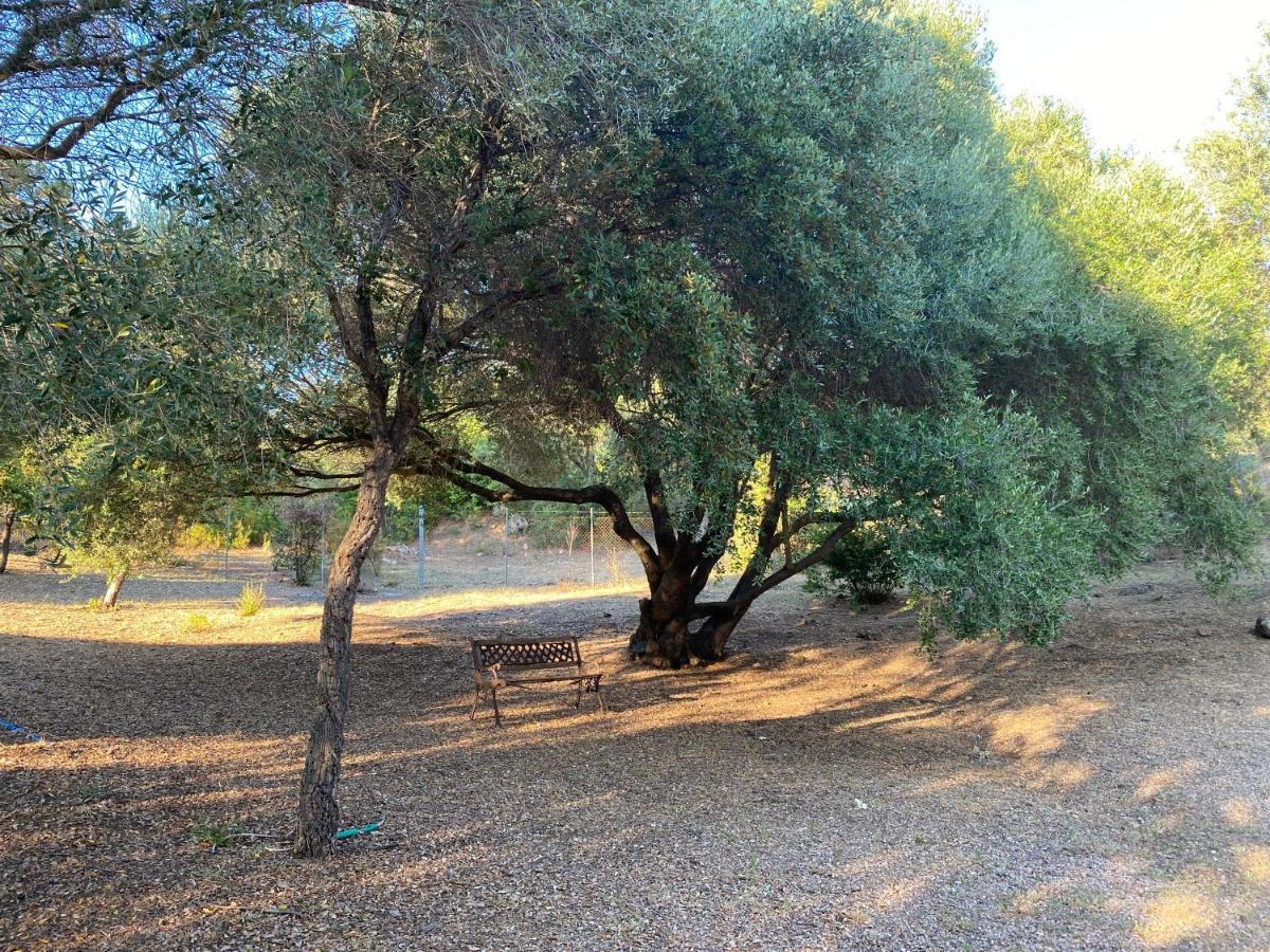 Li Paduleddi Country Guest House Όλμπια Εξωτερικό φωτογραφία