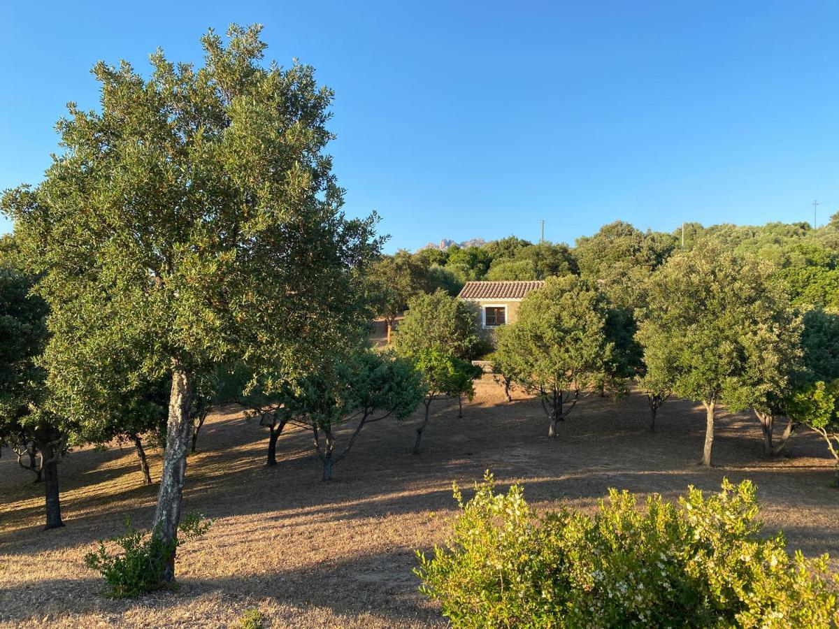 Li Paduleddi Country Guest House Όλμπια Εξωτερικό φωτογραφία