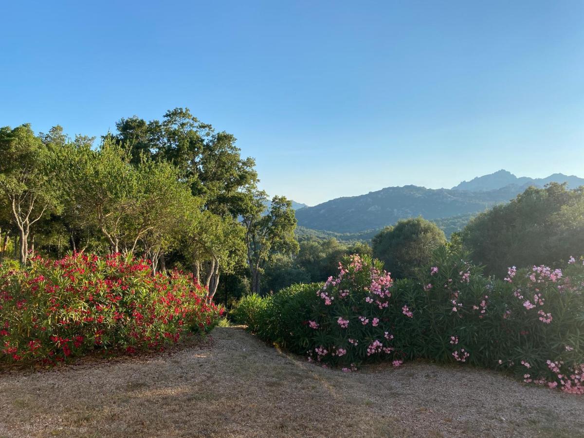 Li Paduleddi Country Guest House Όλμπια Εξωτερικό φωτογραφία