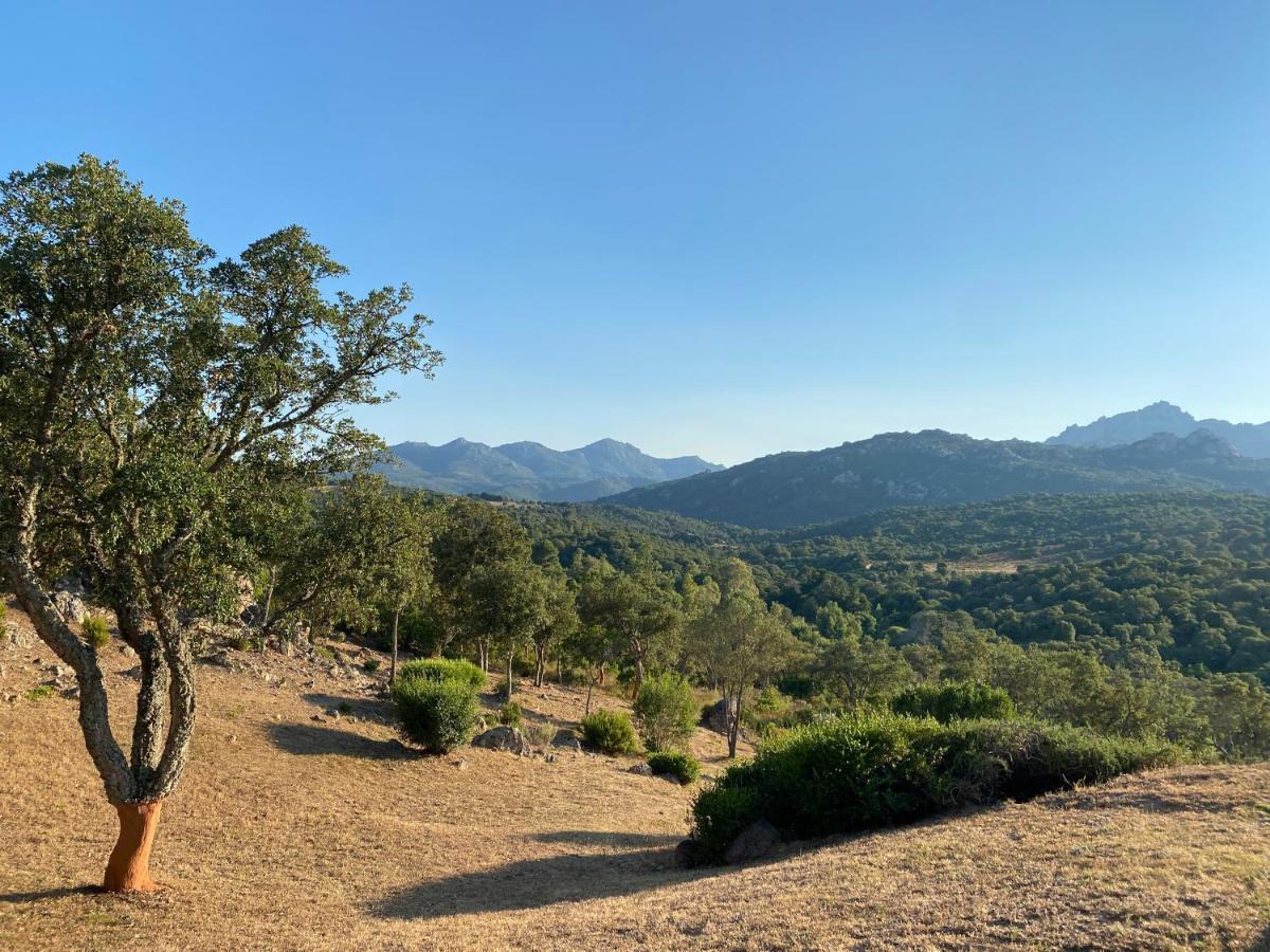 Li Paduleddi Country Guest House Όλμπια Εξωτερικό φωτογραφία