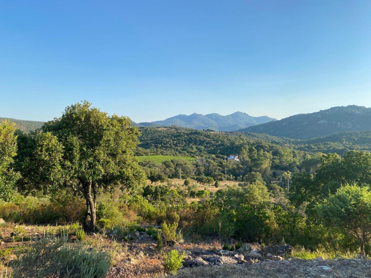 Li Paduleddi Country Guest House Όλμπια Εξωτερικό φωτογραφία