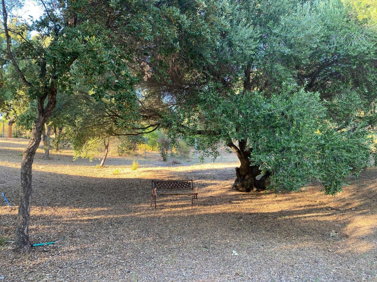 Li Paduleddi Country Guest House Όλμπια Εξωτερικό φωτογραφία