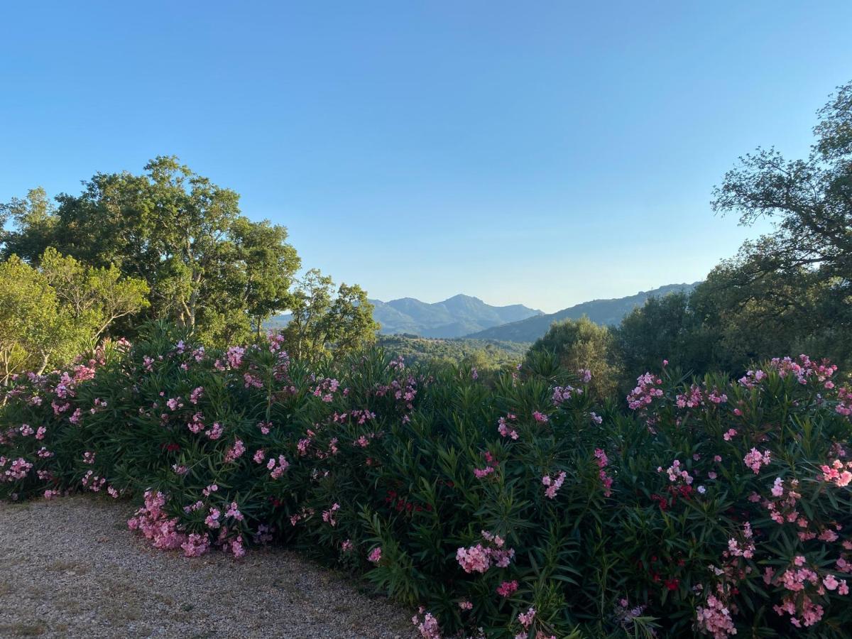 Li Paduleddi Country Guest House Όλμπια Εξωτερικό φωτογραφία